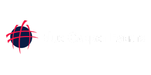 Blue Carpet Events Logo